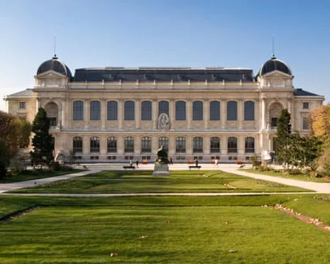 Historic Gold Samples Taken in Bold Heist at French Natural History Institution